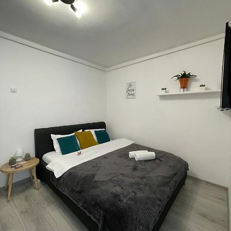 Cozy Studio Apartament Zalau Exterior photo