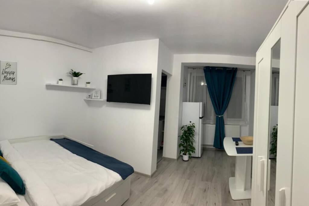 Cozy Studio Apartament Zalau Exterior photo