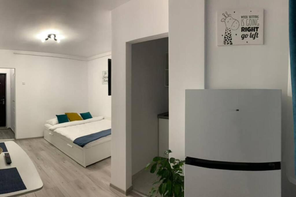 Cozy Studio Apartament Zalau Exterior photo