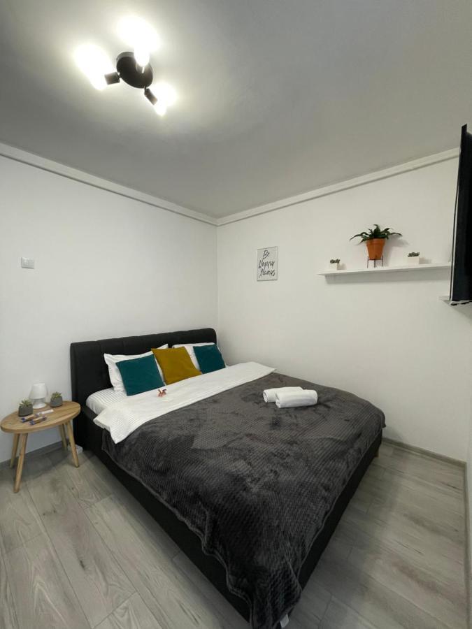Cozy Studio Apartament Zalau Exterior photo